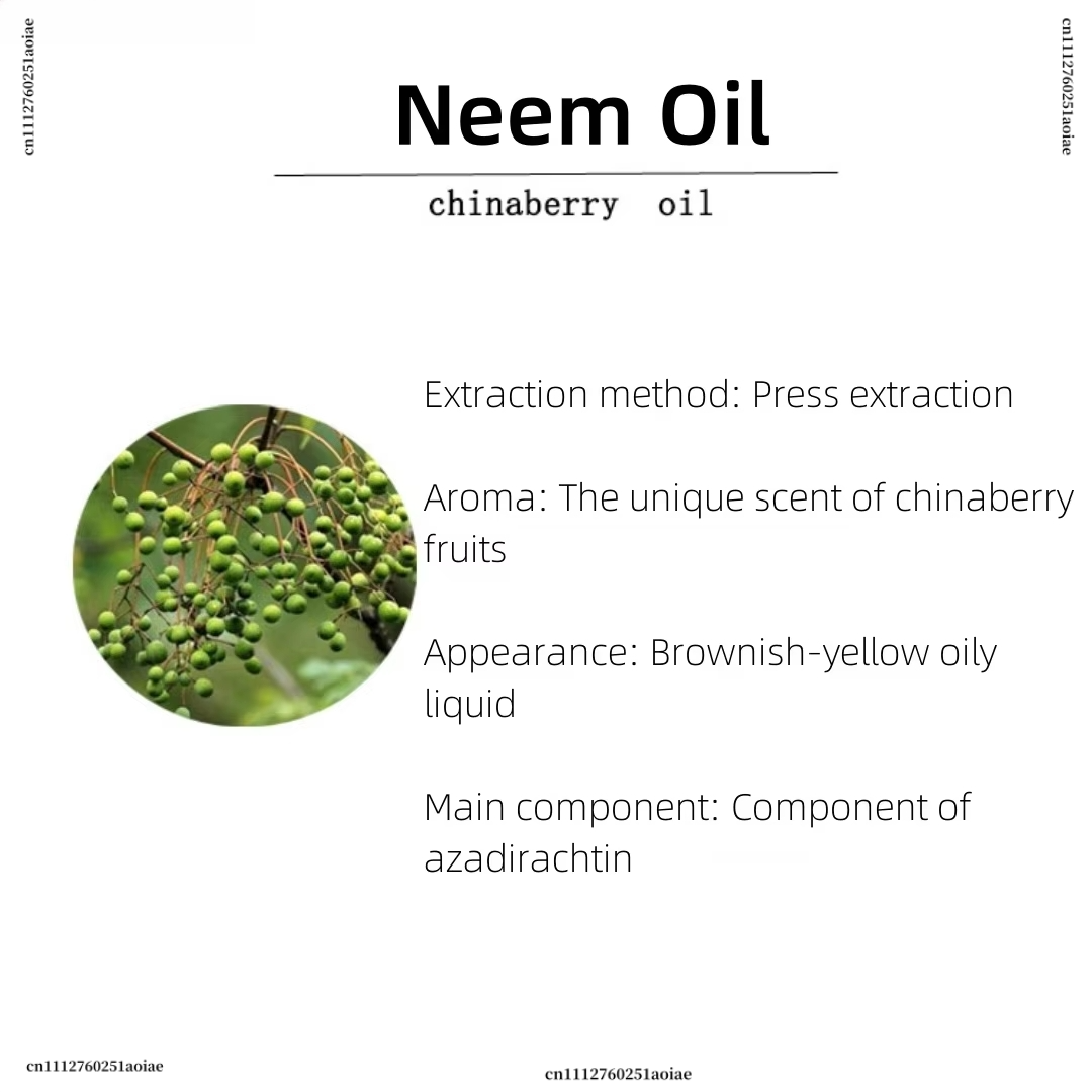 Organic Neem Oil - Spiritual I - Home Fragrance Incense review and price