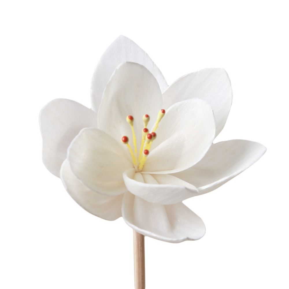 5cm Creative Handmade Fragranc - Home Fragrance Incense review and price