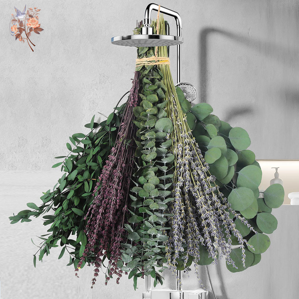 110Pcs Mix Dried Eucalyptus Le - Fragrance Your Home review and price