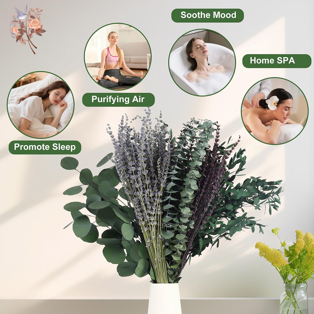110Pcs Mix Dried Eucalyptus Le - Fragrance Your Home review and price