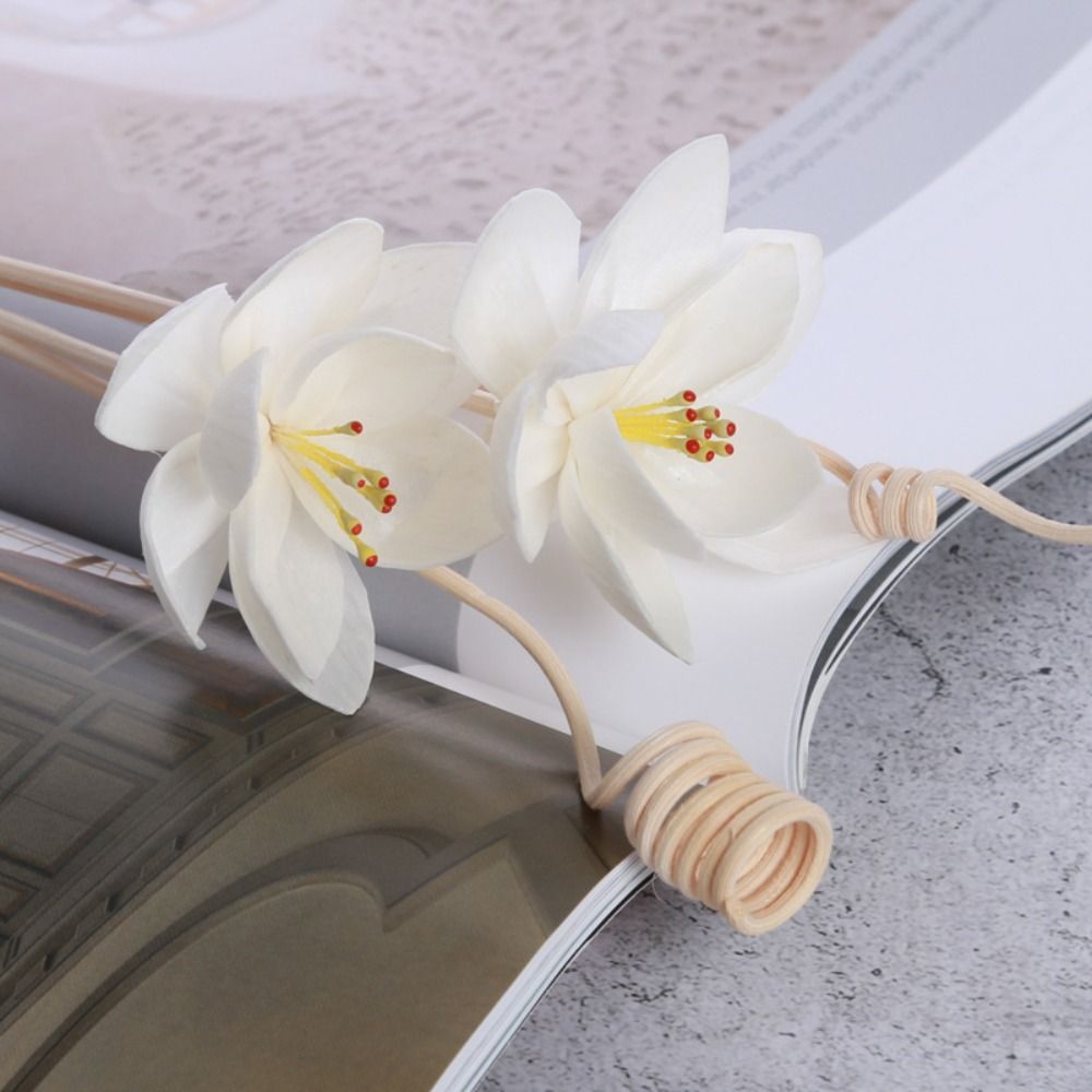 Multipurpose 5cm Natural Handm - Home Fragrance Incense review and price