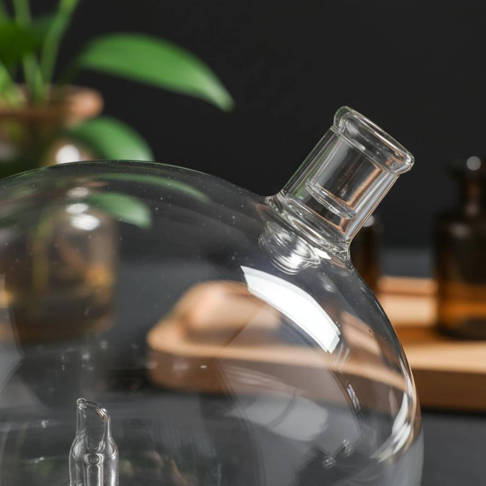 Diffuser Bottle Universal Fit  - Fragrance In Home review and price